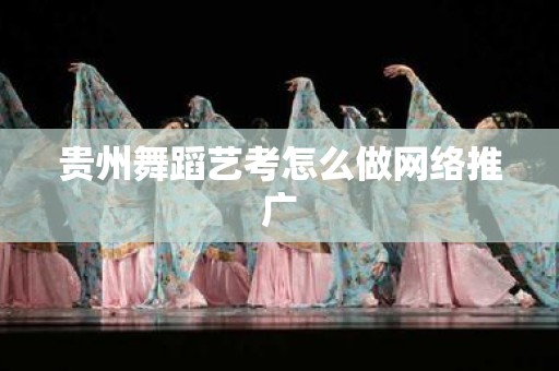 贵州舞蹈艺考怎么做网络推广
