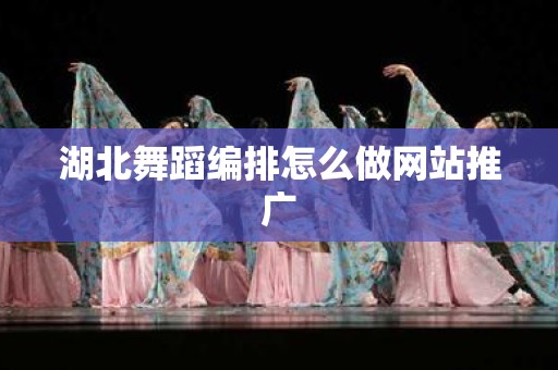 湖北舞蹈编排怎么做网站推广