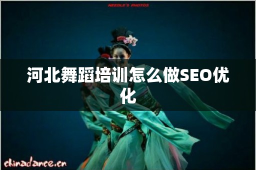 河北舞蹈培训怎么做SEO优化