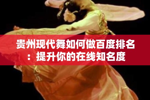贵州现代舞如何做百度排名：提升你的在线知名度