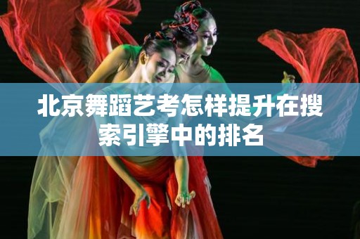 北京舞蹈艺考怎样提升在搜索引擎中的排名