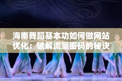 海南舞蹈基本功如何做网站优化：破解流量密码的秘诀