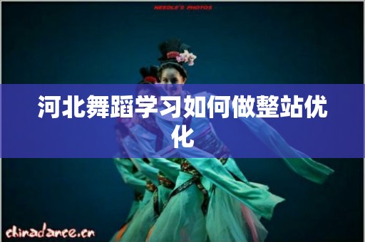 河北舞蹈学习如何做整站优化