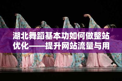 湖北舞蹈基本功如何做整站优化——提升网站流量与用户体验的有效策略