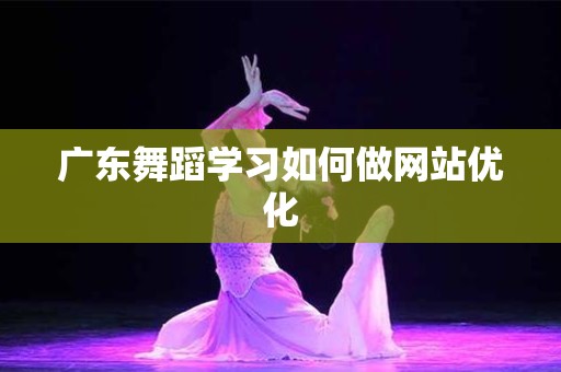 广东舞蹈学习如何做网站优化