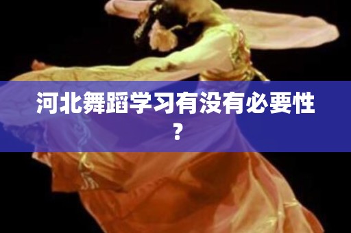 河北舞蹈学习有没有必要性？