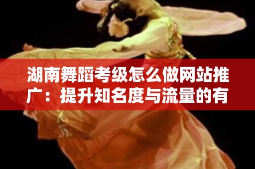 湖南舞蹈考级怎么做网站推广：提升知名度与流量的有效策略