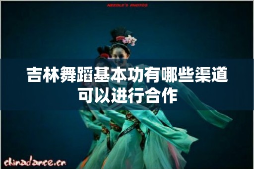 吉林舞蹈基本功有哪些渠道可以进行合作