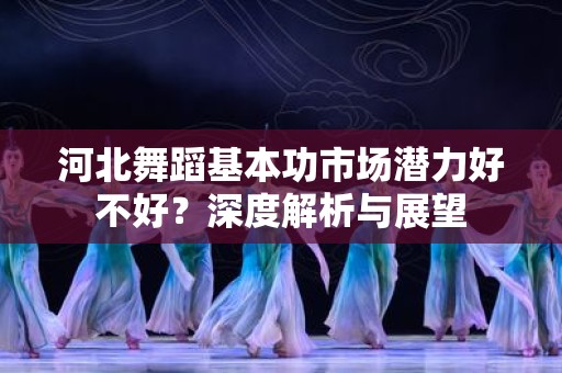 河北舞蹈基本功市场潜力好不好？深度解析与展望