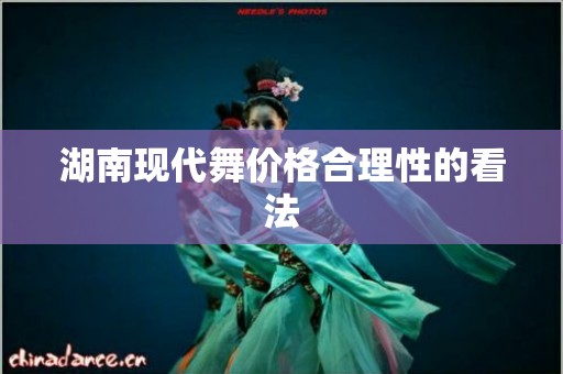 湖南现代舞价格合理性的看法