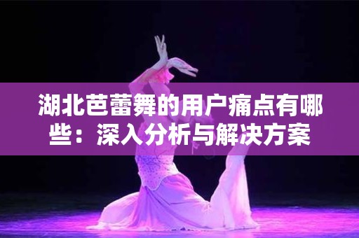 湖北芭蕾舞的用户痛点有哪些：深入分析与解决方案