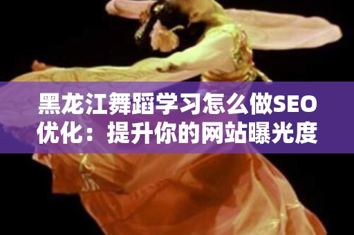 黑龙江舞蹈学习怎么做SEO优化：提升你的网站曝光度