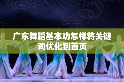 广东舞蹈基本功怎样将关键词优化到首页