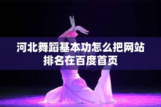 河北舞蹈基本功怎么把网站排名在百度首页