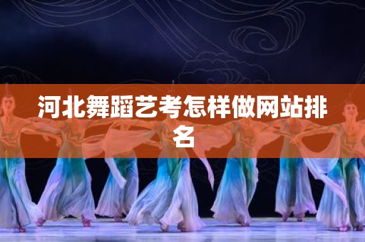 河北舞蹈艺考怎样做网站排名