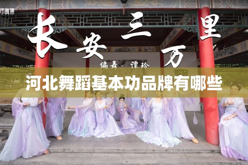 河北舞蹈基本功品牌有哪些