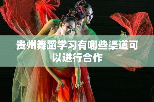 贵州舞蹈学习有哪些渠道可以进行合作