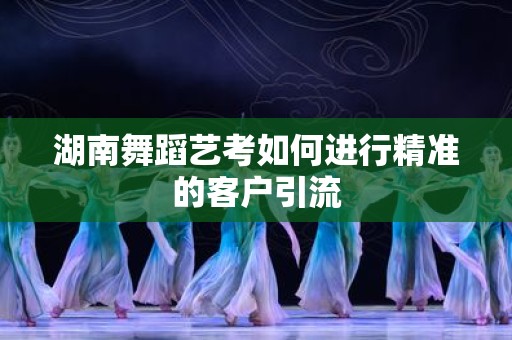 湖南舞蹈艺考如何进行精准的客户引流