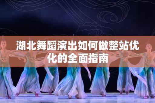 湖北舞蹈演出如何做整站优化的全面指南