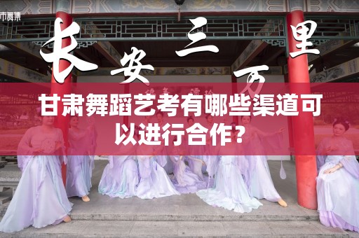 甘肃舞蹈艺考有哪些渠道可以进行合作？