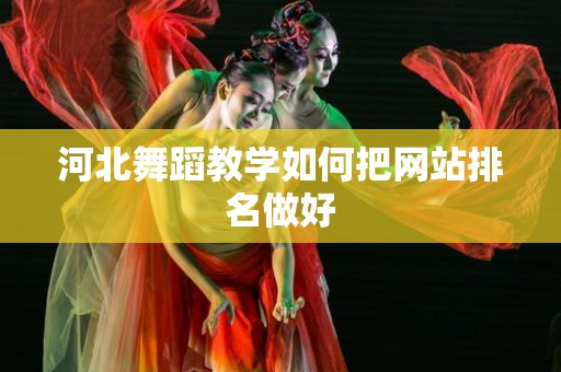 河北舞蹈教学如何把网站排名做好