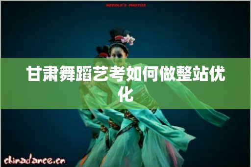 甘肃舞蹈艺考如何做整站优化