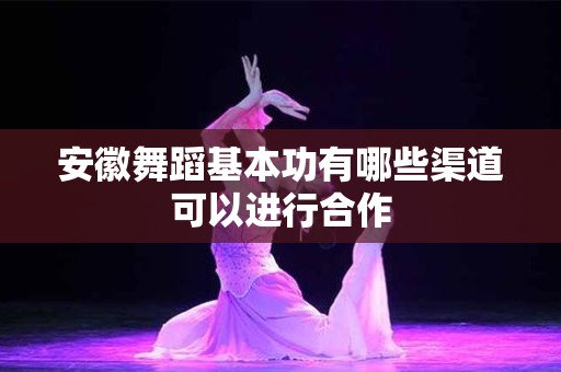 安徽舞蹈基本功有哪些渠道可以进行合作