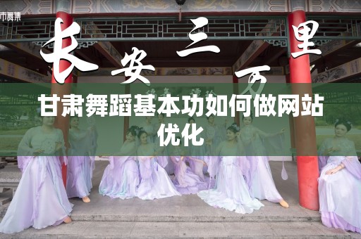 甘肃舞蹈基本功如何做网站优化