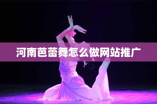 河南芭蕾舞怎么做网站推广