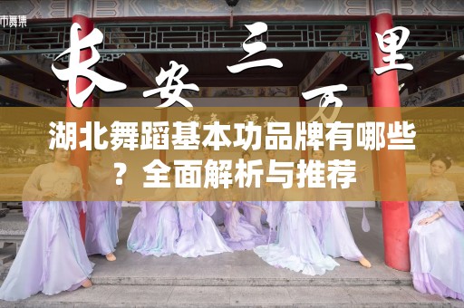 湖北舞蹈基本功品牌有哪些？全面解析与推荐