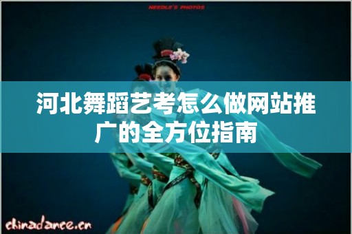 河北舞蹈艺考怎么做网站推广的全方位指南