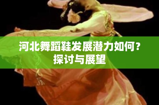 河北舞蹈鞋发展潜力如何？探讨与展望