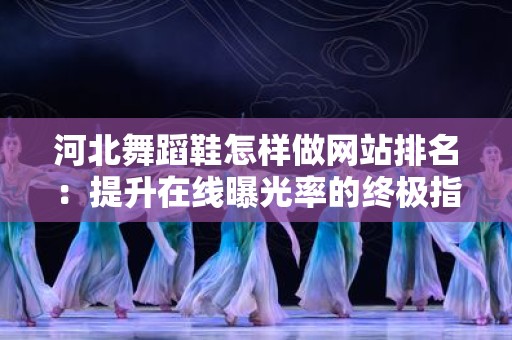 河北舞蹈鞋怎样做网站排名：提升在线曝光率的终极指南