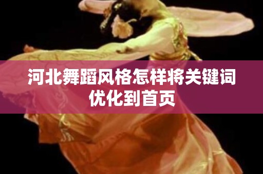 河北舞蹈风格怎样将关键词优化到首页
