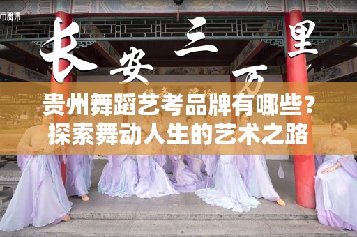 贵州舞蹈艺考品牌有哪些？探索舞动人生的艺术之路