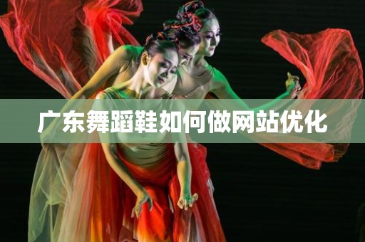 广东舞蹈鞋如何做网站优化