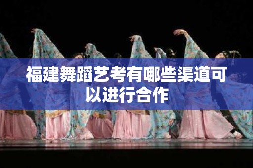 福建舞蹈艺考有哪些渠道可以进行合作