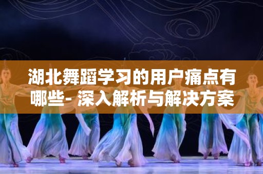 湖北舞蹈学习的用户痛点有哪些- 深入解析与解决方案