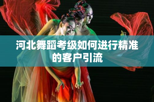 河北舞蹈考级如何进行精准的客户引流