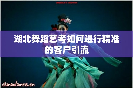 湖北舞蹈艺考如何进行精准的客户引流
