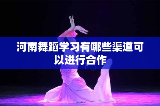 河南舞蹈学习有哪些渠道可以进行合作