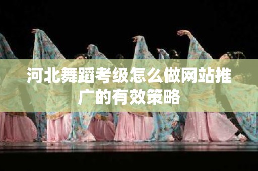 河北舞蹈考级怎么做网站推广的有效策略