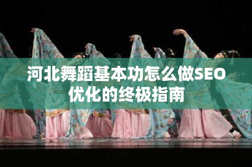 河北舞蹈基本功怎么做SEO优化的终极指南
