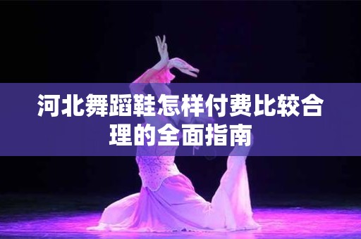 河北舞蹈鞋怎样付费比较合理的全面指南