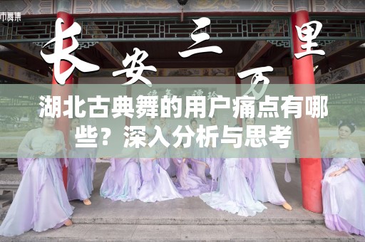 湖北古典舞的用户痛点有哪些？深入分析与思考
