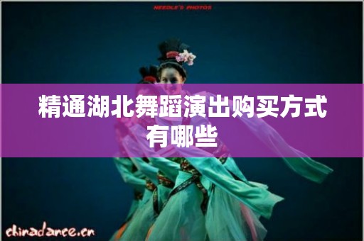 精通湖北舞蹈演出购买方式有哪些