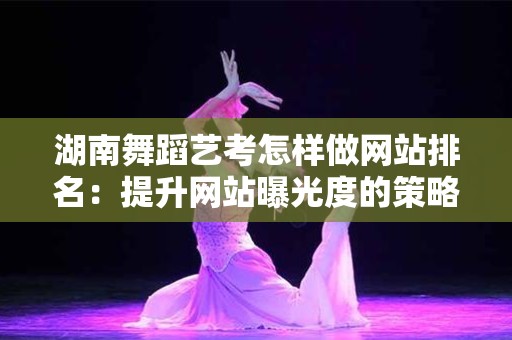 湖南舞蹈艺考怎样做网站排名：提升网站曝光度的策略