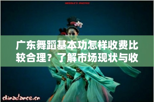 广东舞蹈基本功怎样收费比较合理？了解市场现状与收费标准