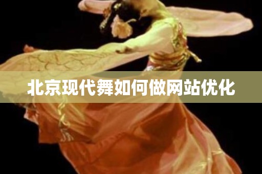 北京现代舞如何做网站优化