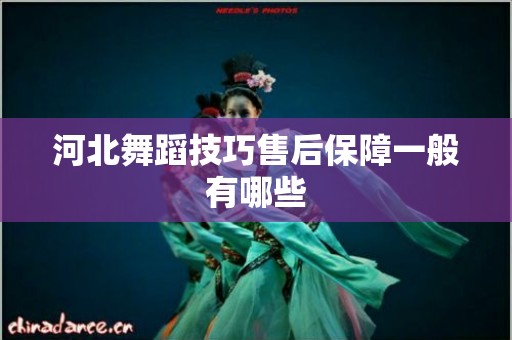 河北舞蹈技巧售后保障一般有哪些